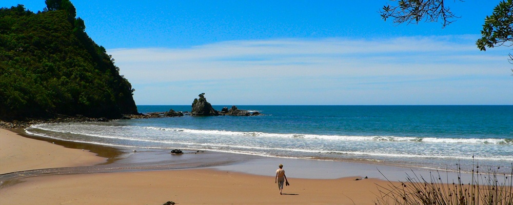 Te Karo Bay, Coromandel Peninsula, New Zealand